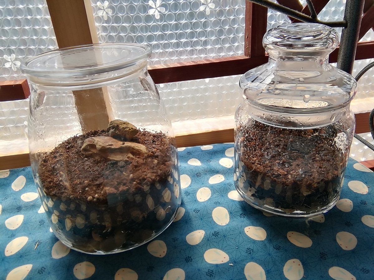 f:id:maple-enkyorikaigo:20190827164844j:plain