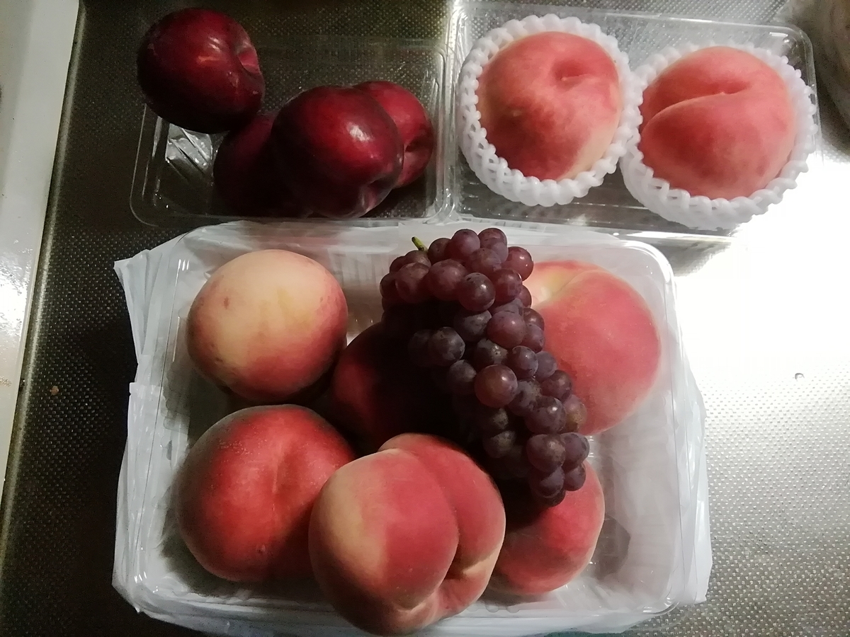 f:id:maple-enkyorikaigo:20190901202227j:plain