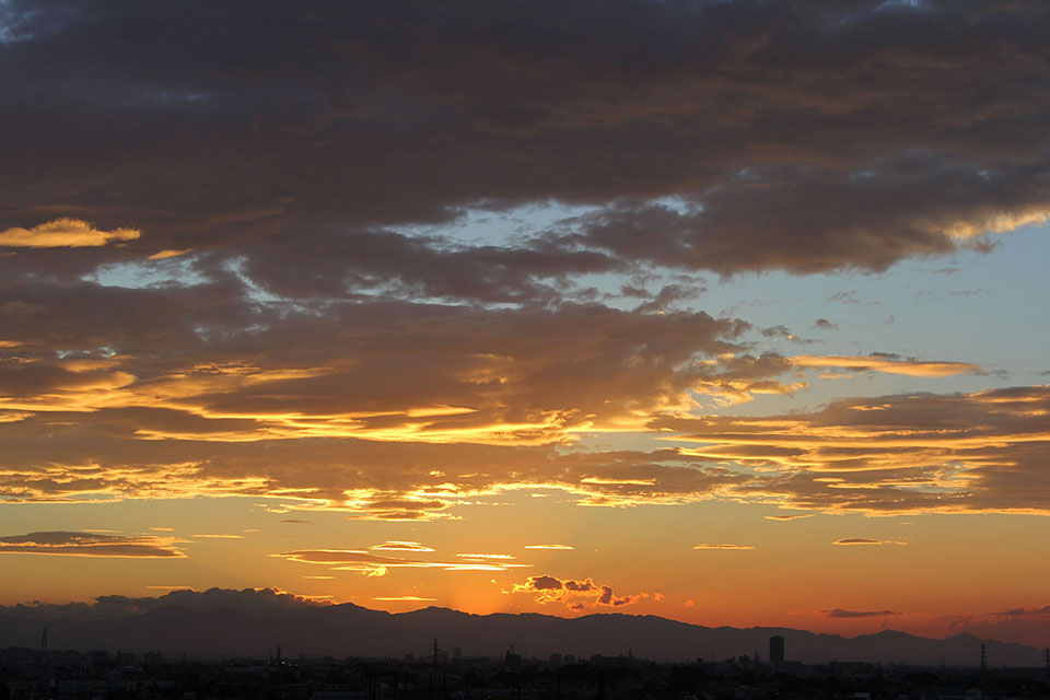 f:id:maple-enkyorikaigo:20200618210912j:plain