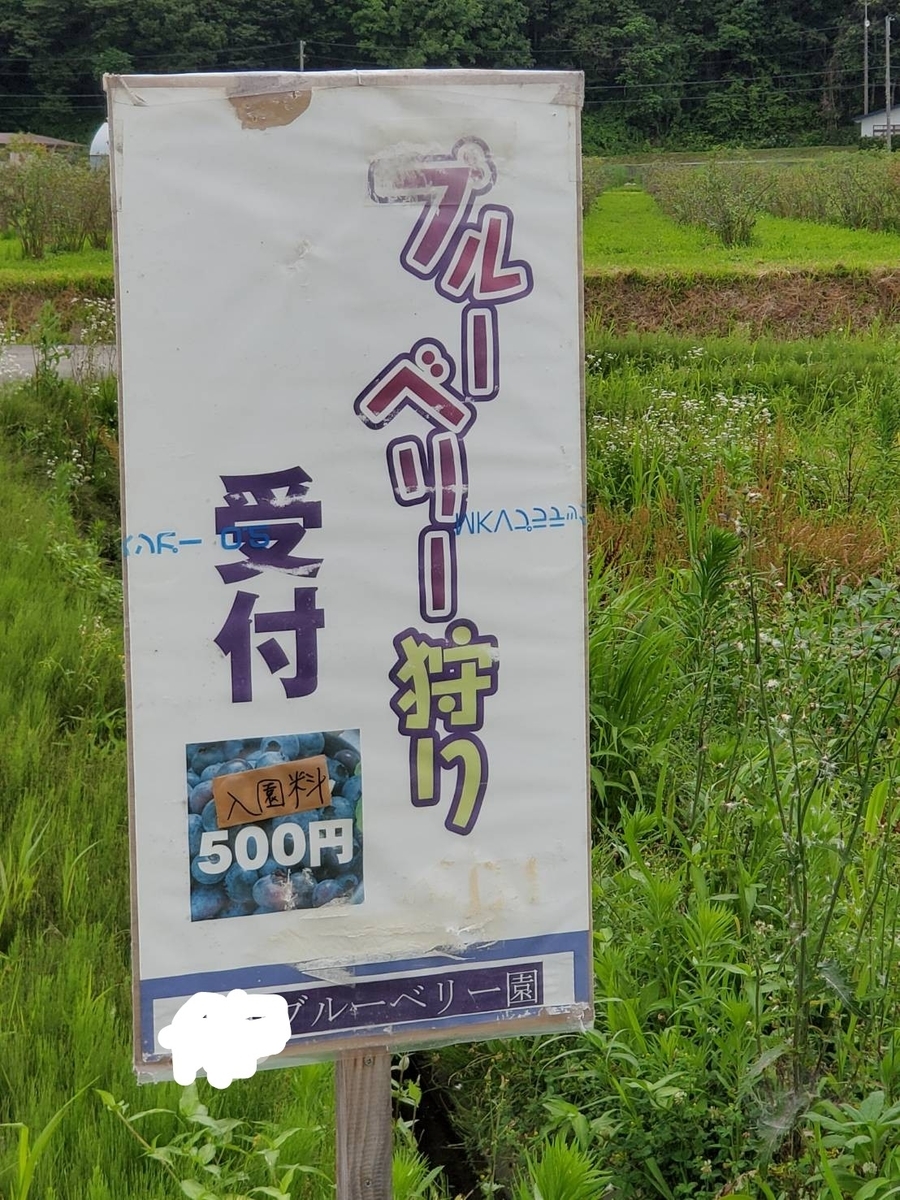 f:id:maple-enkyorikaigo:20200716182255j:plain