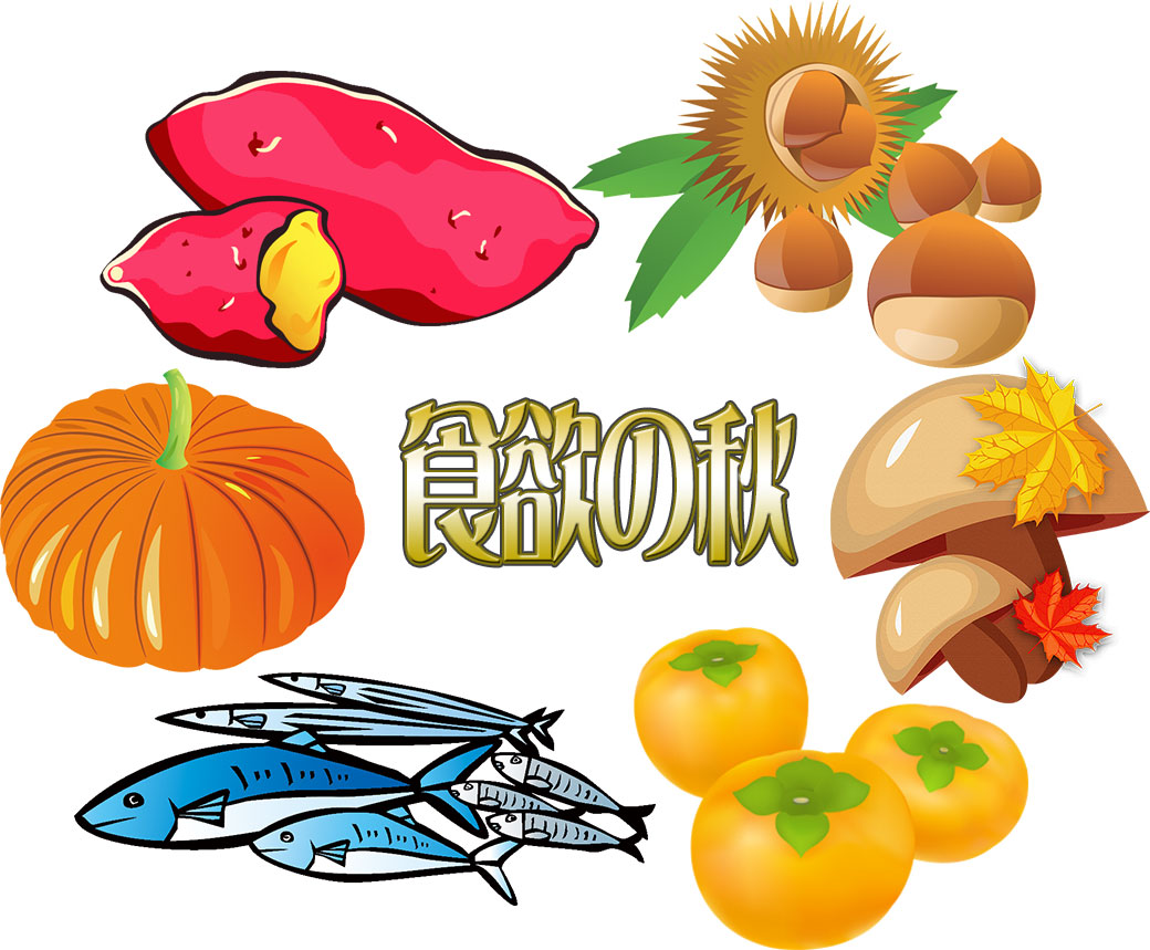 f:id:maple-enkyorikaigo:20201012211005j:plain