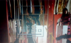 f:id:maplecat-eve:20100129053625j:image:right f:id:maplecat-eve:20100129053625j:image:right