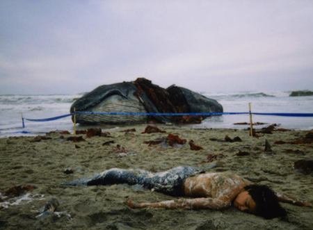 f:id:maplecat-eve:20151231220109p:image