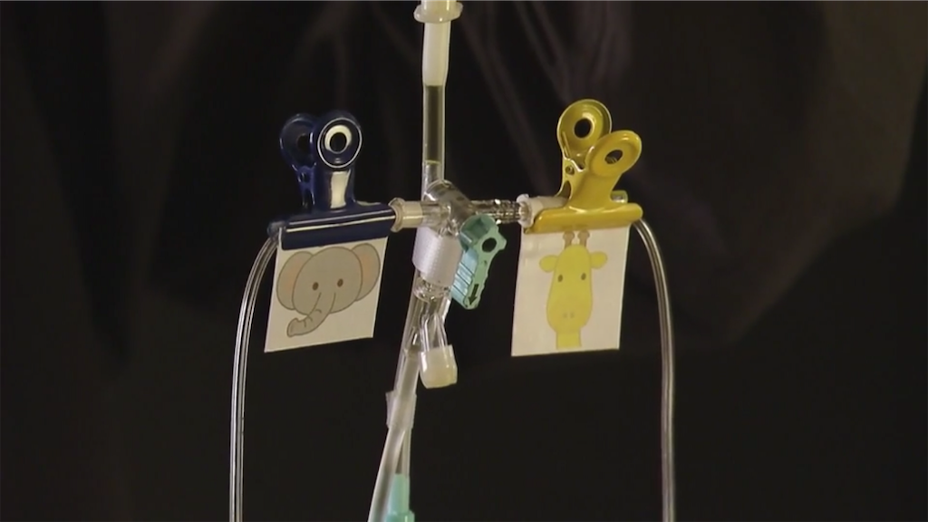 黒幕は 伏線回収は あなたの番です最終回まとめ とある大学生のブログ