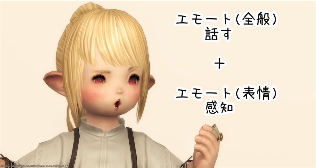 f:id:mapleice:20211231120959j:image