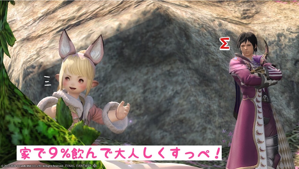 f:id:mapleice:20220617121231j:image