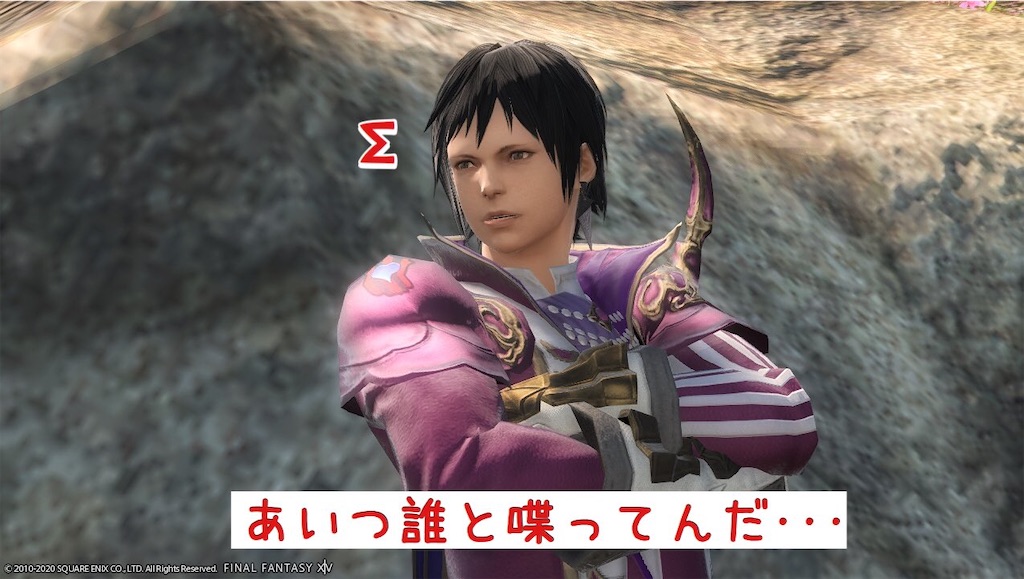 f:id:mapleice:20220617121237j:image