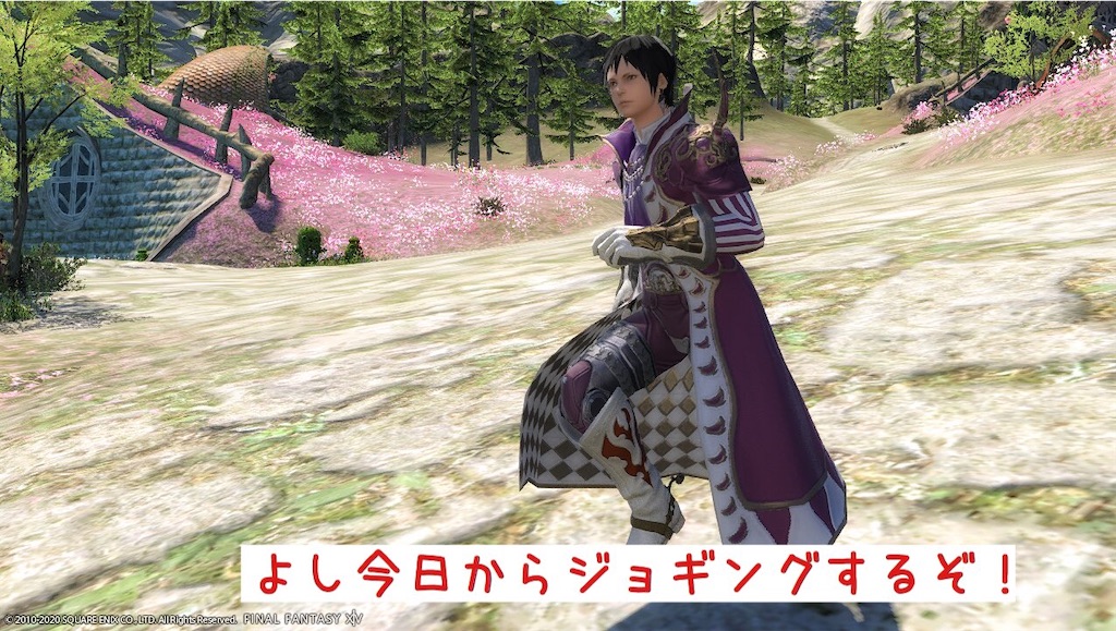 f:id:mapleice:20220617121327j:image
