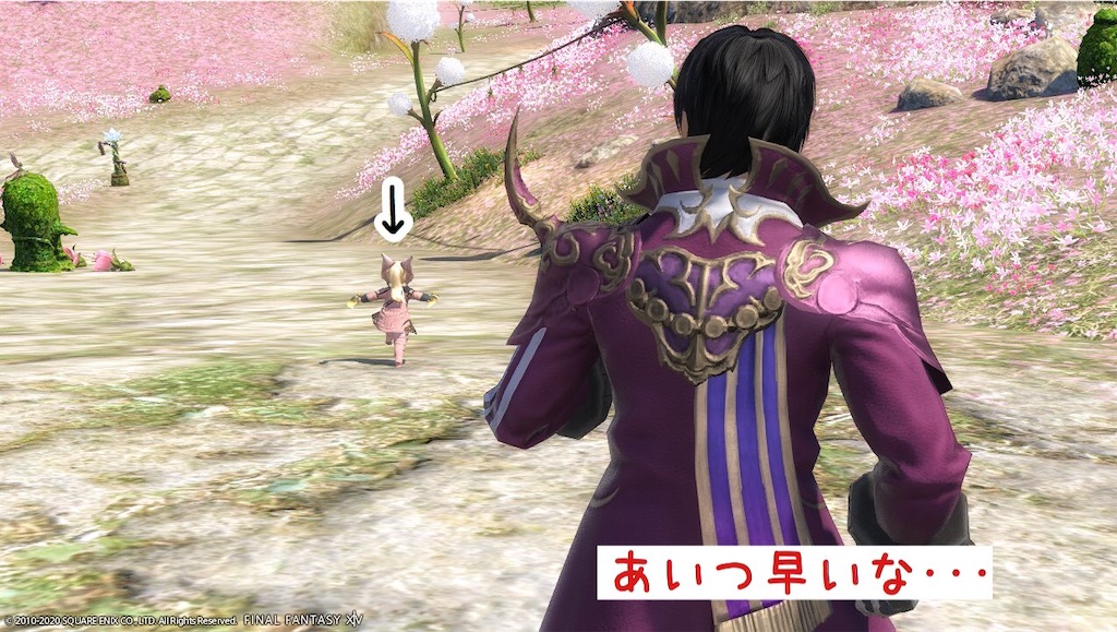 f:id:mapleice:20220617121332j:image