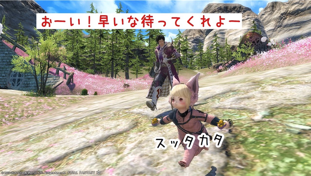 f:id:mapleice:20220617121339j:image