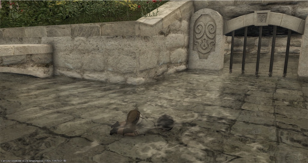 f:id:mapleice:20231208172909j:image