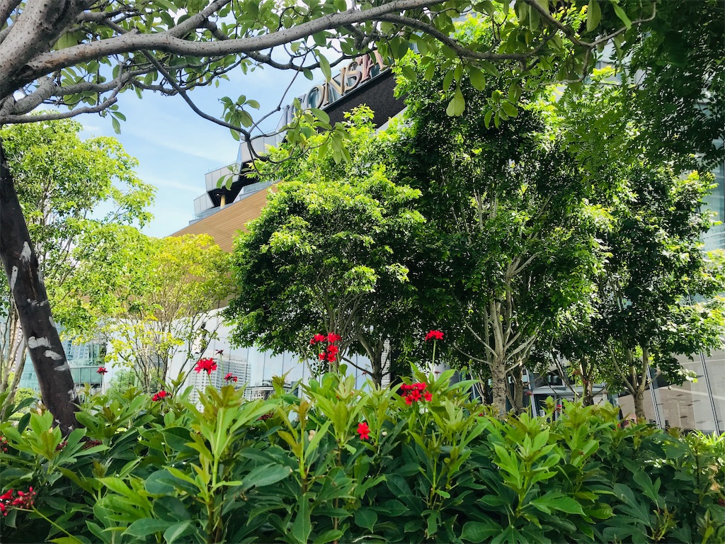 f:id:maplemaples:20190609234936j:image
