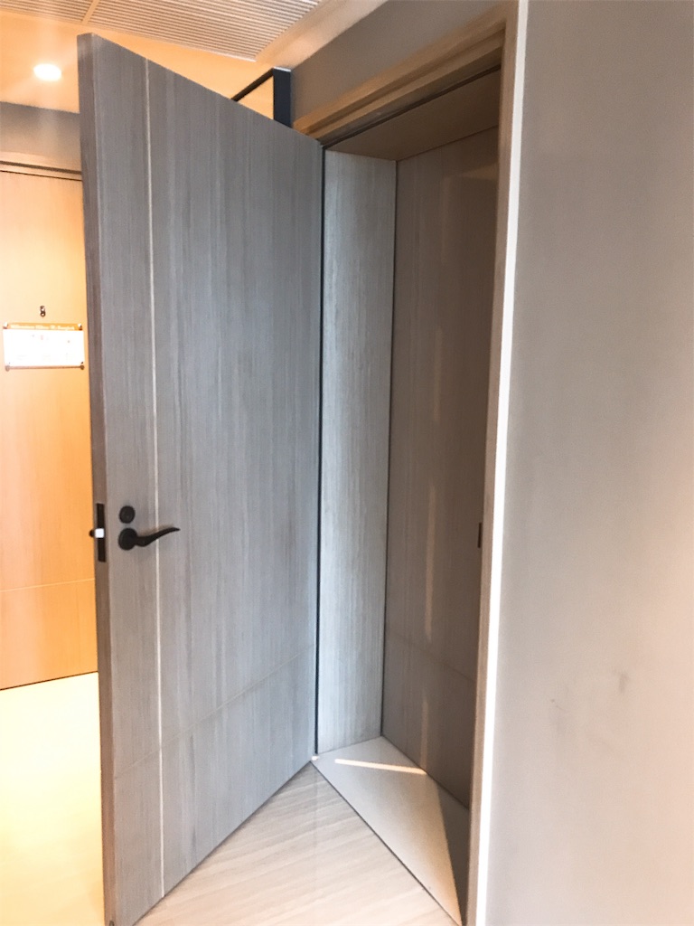 f:id:maplemaples:20190628031110j:image
