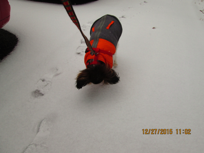 f:id:mapleringring77:20151227110242j:image:w360