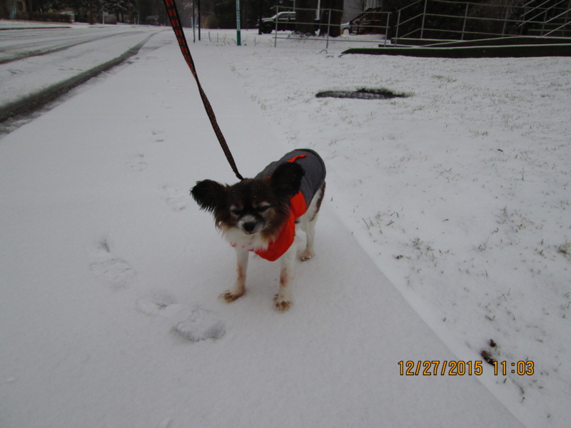 f:id:mapleringring77:20151227110318j:image:w360