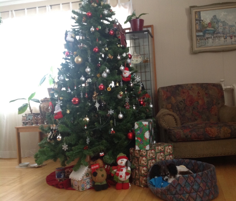 f:id:mapleringring77:20161205132939j:image:w360