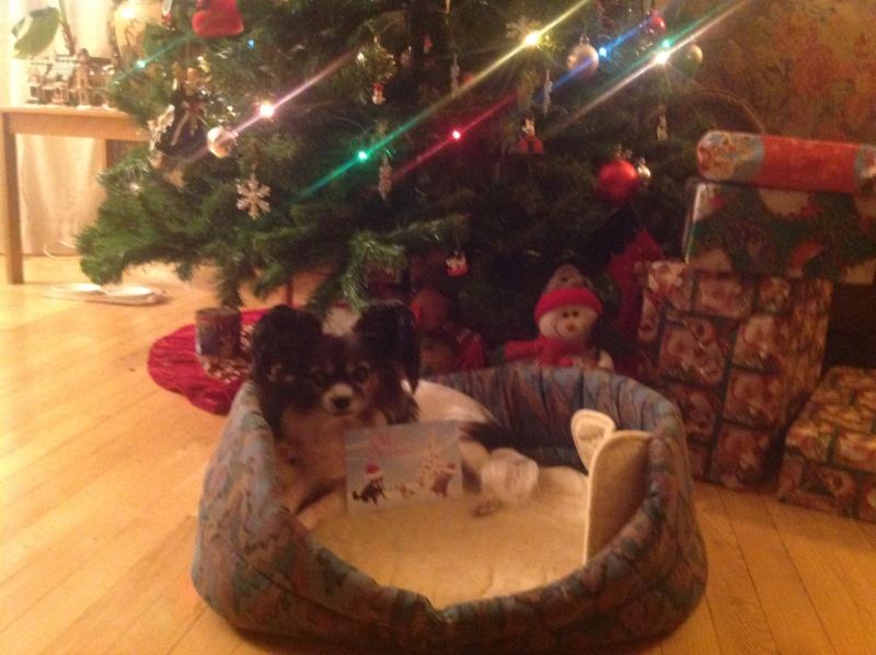 f:id:mapleringring77:20161222225013j:image:w360