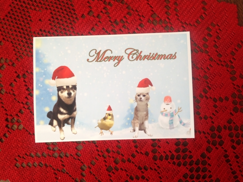 f:id:mapleringring77:20171224133319j:image:w360