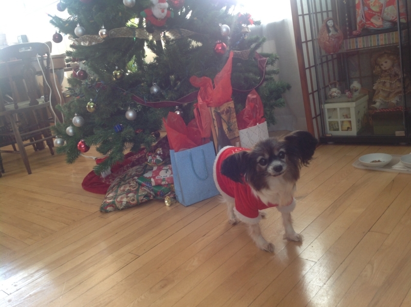 f:id:mapleringring77:20171224133442j:image:w360