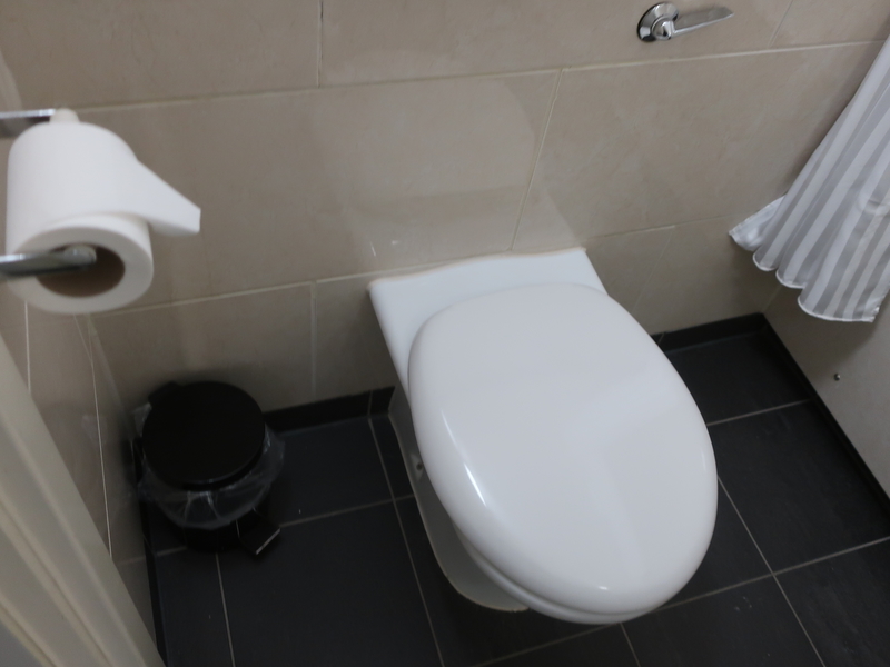 f:id:mappeke:20210102102501j:plain