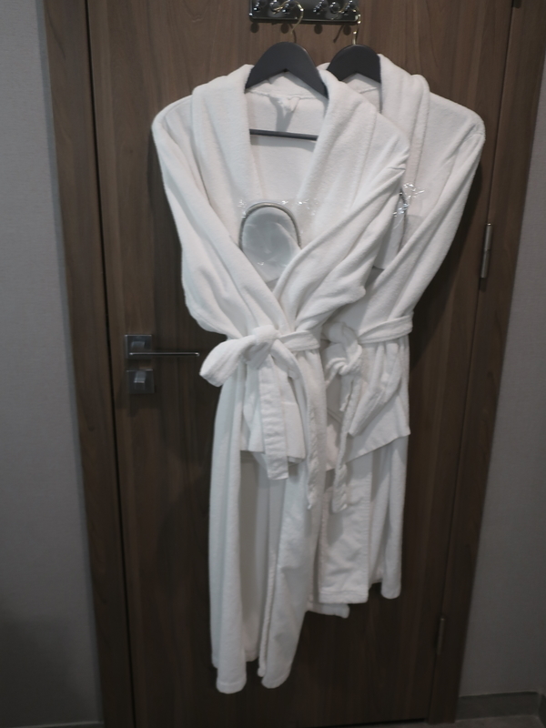 f:id:mappeke:20210102130125j:plain