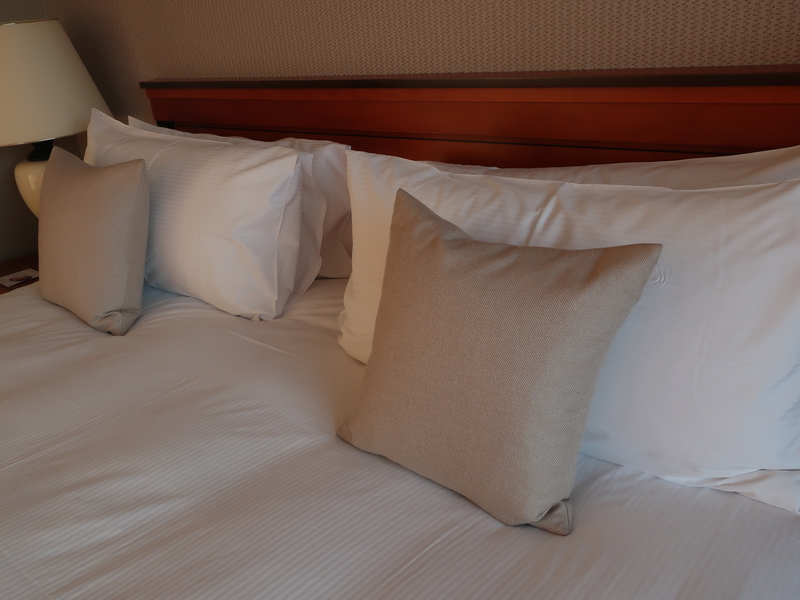 f:id:mappeke:20210102130803j:plain