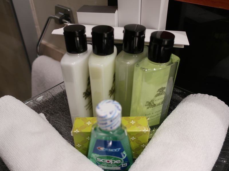 f:id:mappeke:20210102131004j:plain