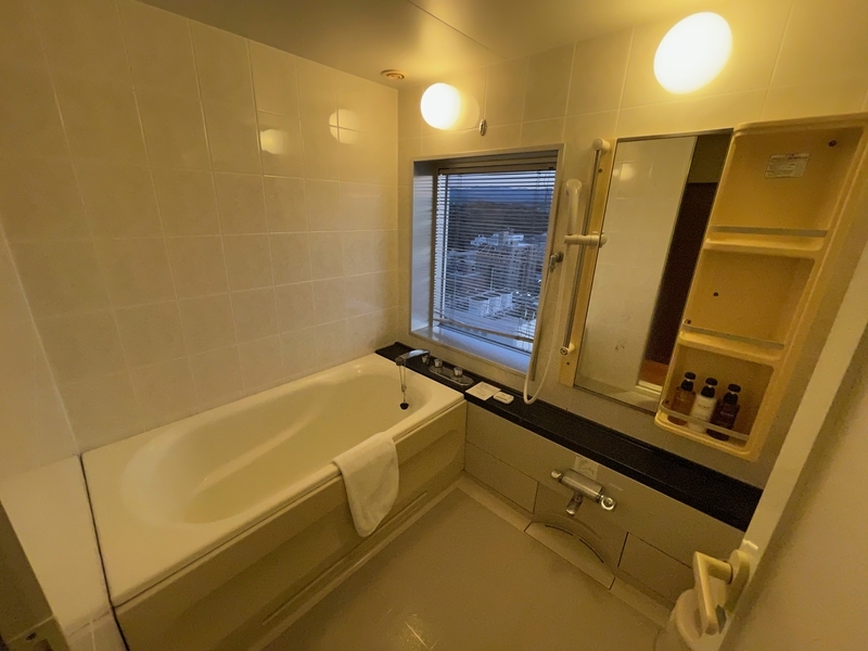 f:id:mappeke:20210104103136j:plain