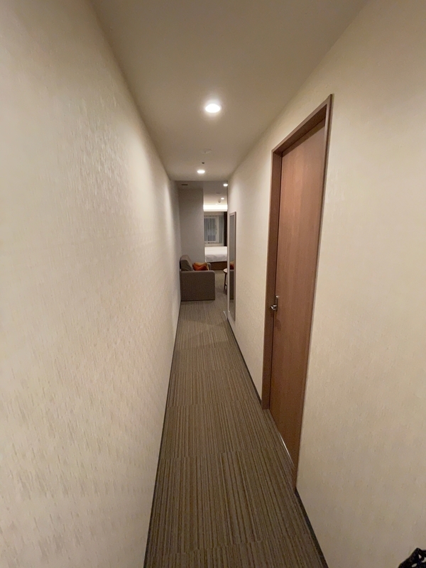 f:id:mappeke:20210104110648j:plain