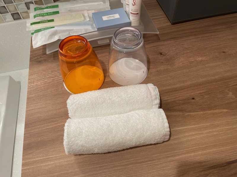 f:id:mappeke:20210104110740j:plain