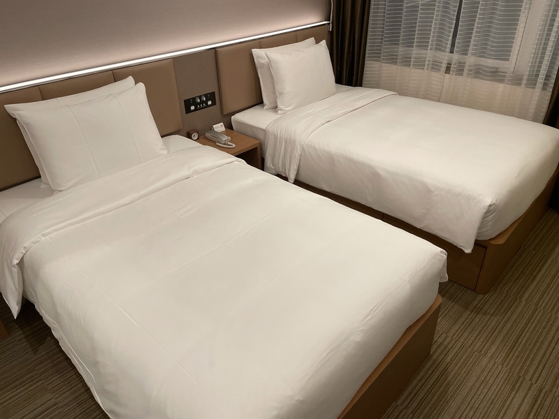 f:id:mappeke:20210104111544j:plain