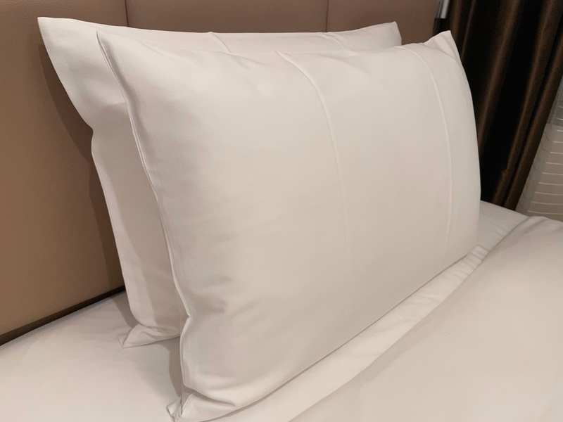 f:id:mappeke:20210104111705j:plain