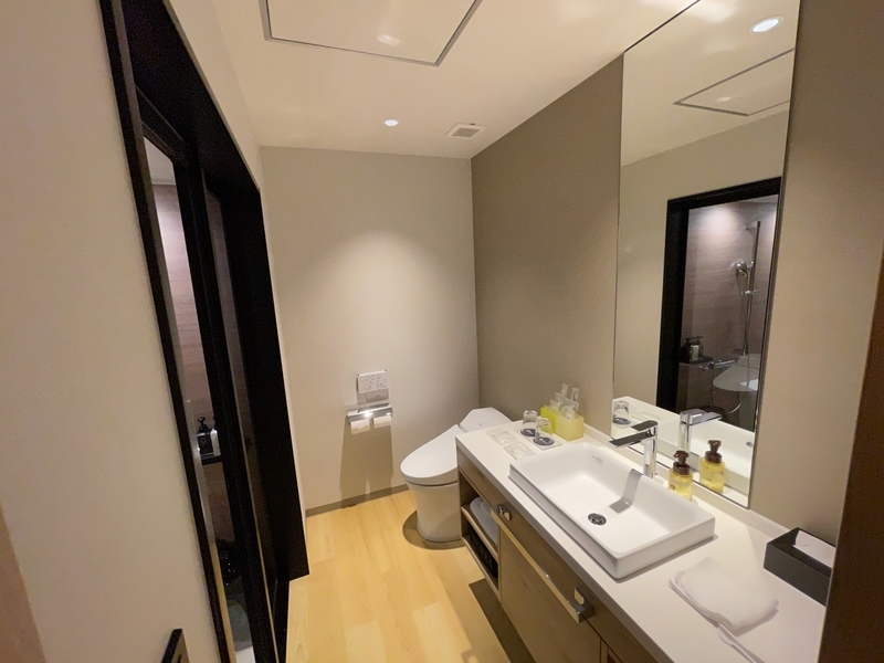 f:id:mappeke:20210128193318j:plain