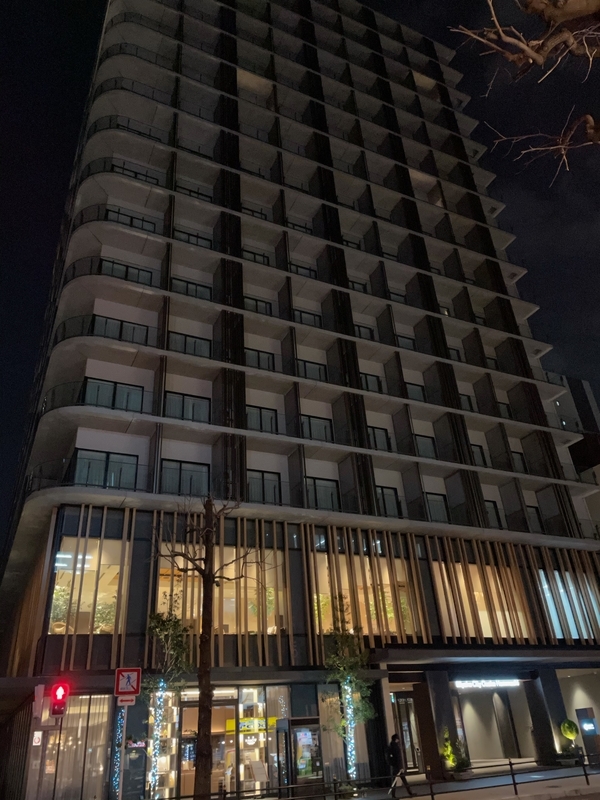 f:id:mappeke:20210128193655j:plain