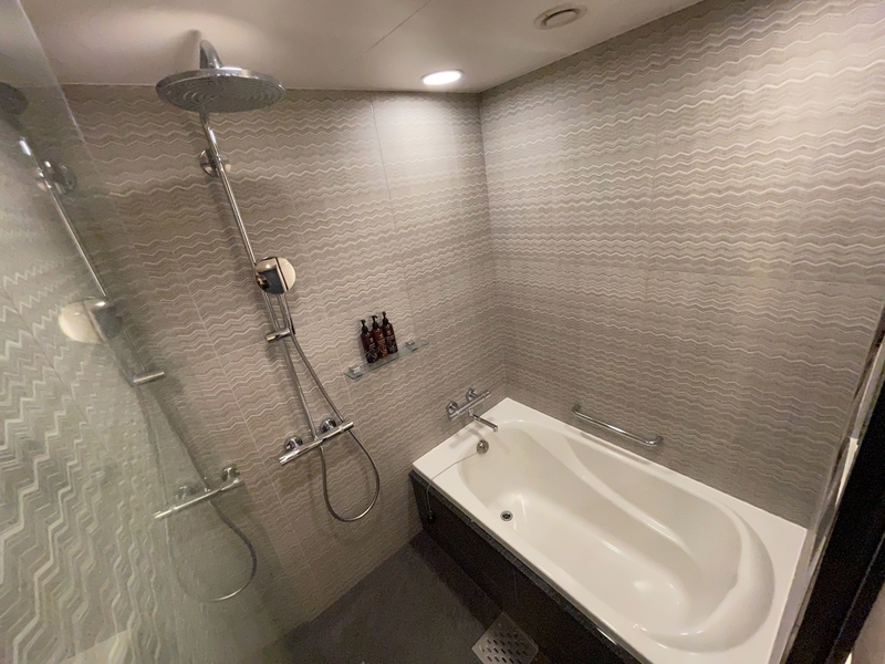 f:id:mappeke:20210130142225j:plain