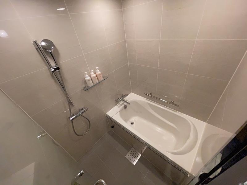 f:id:mappeke:20210130213732j:plain