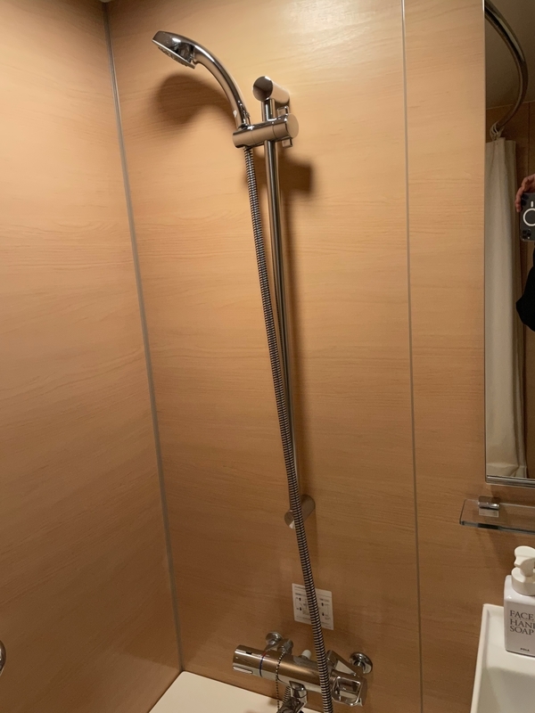 f:id:mappeke:20210131101900j:plain