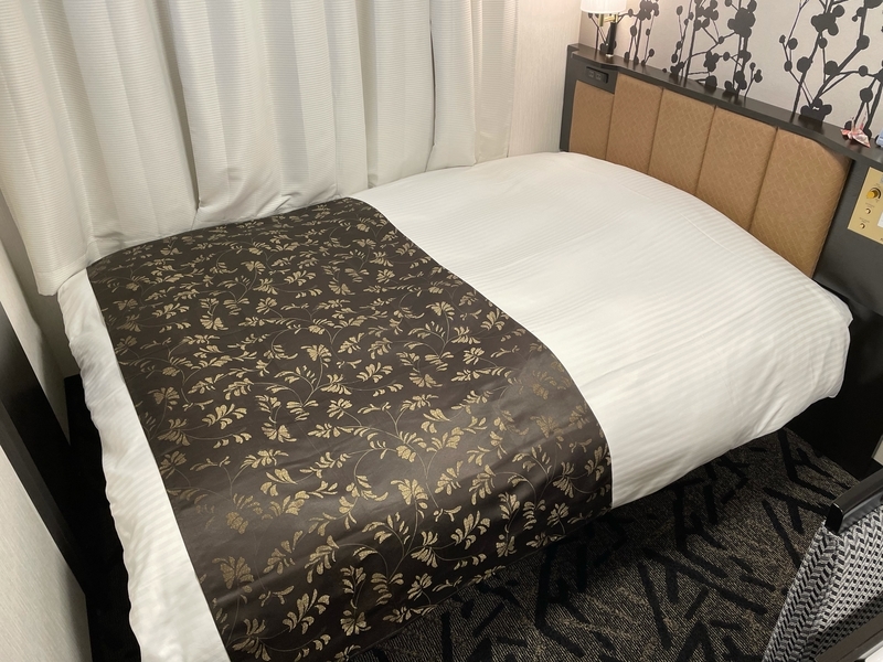 f:id:mappeke:20210131130751j:plain