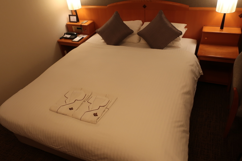 f:id:mappeke:20210213155316j:plain