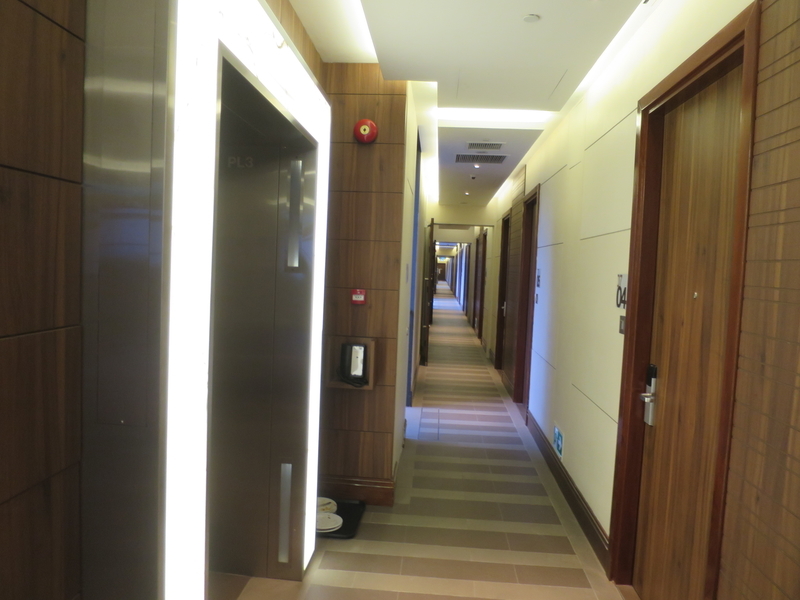 f:id:mappeke:20210522190140j:plain