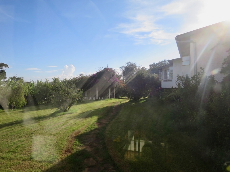 f:id:mappeke:20210608204323j:plain