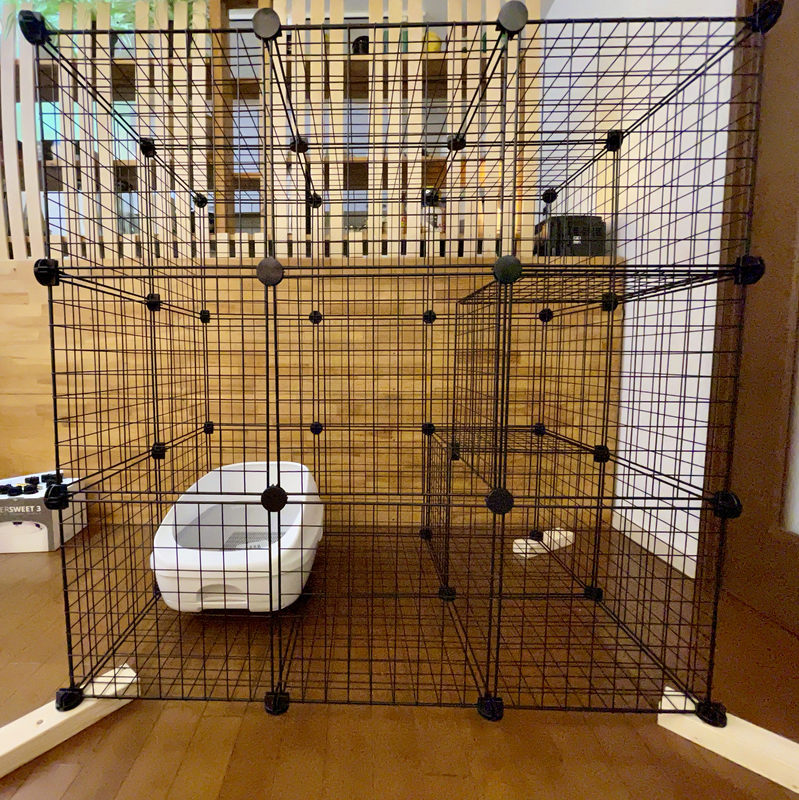 f:id:mappeke:20210630165203j:plain