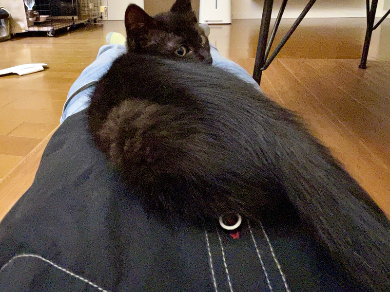 f:id:mappeke:20210707202119j:plain