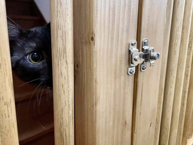 f:id:mappeke:20210708130024j:plain