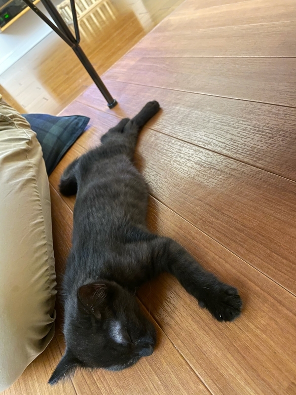 f:id:mappeke:20210731134947j:plain