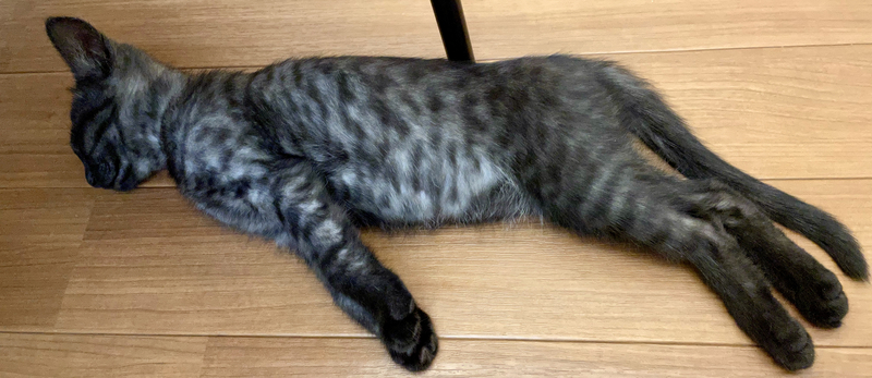 f:id:mappeke:20210731134959j:plain