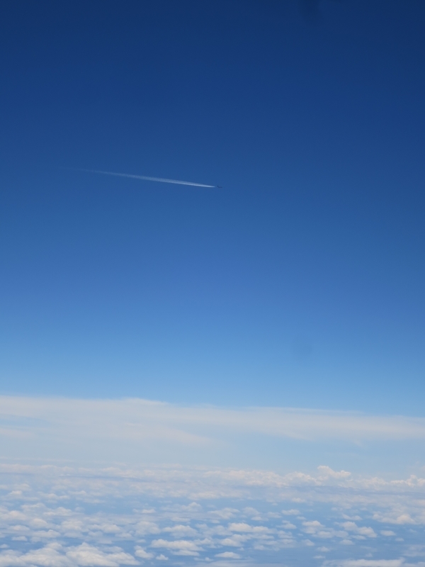 f:id:mappeke:20210809174516j:plain