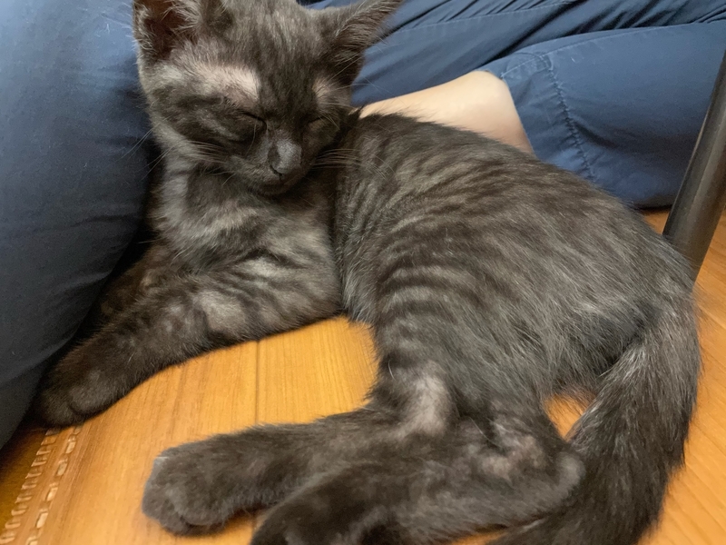 f:id:mappeke:20210810163835j:plain