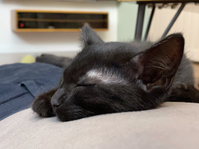 f:id:mappeke:20210810163857j:plain