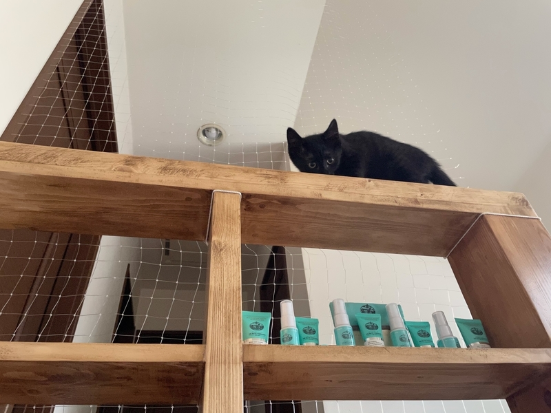 f:id:mappeke:20210813174145j:plain